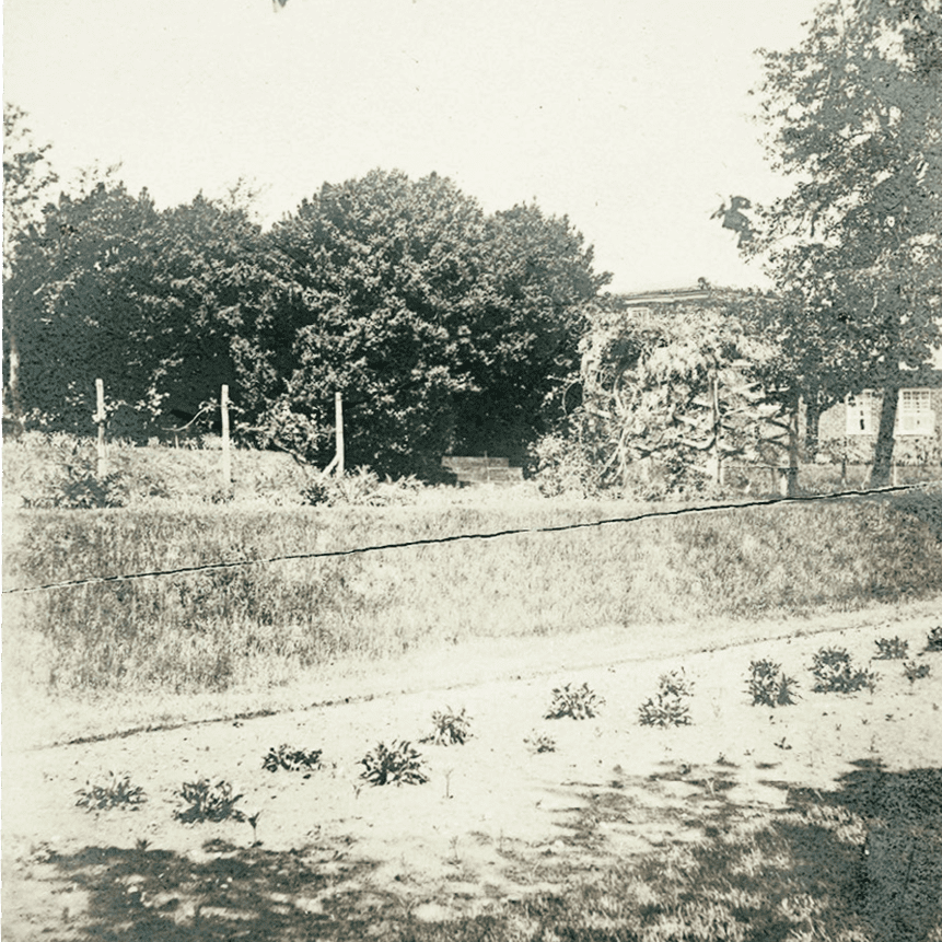 Garden Dependency 1904