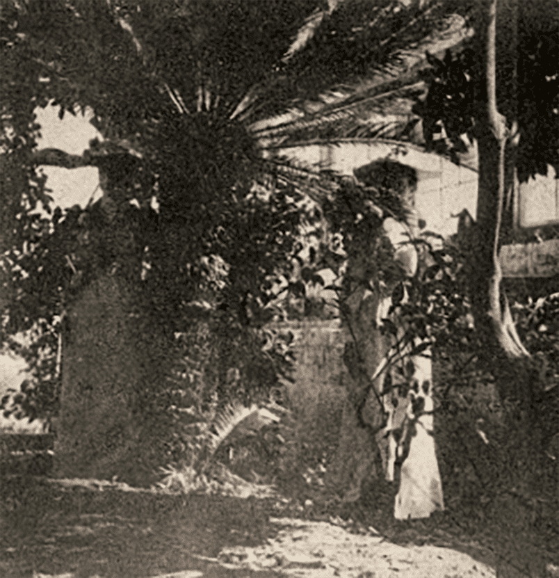 Greenhouse 1890