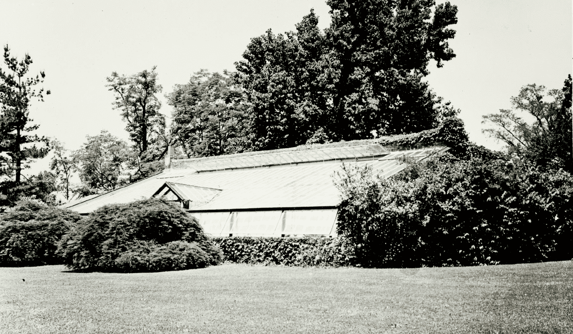 Greenhouse 1937