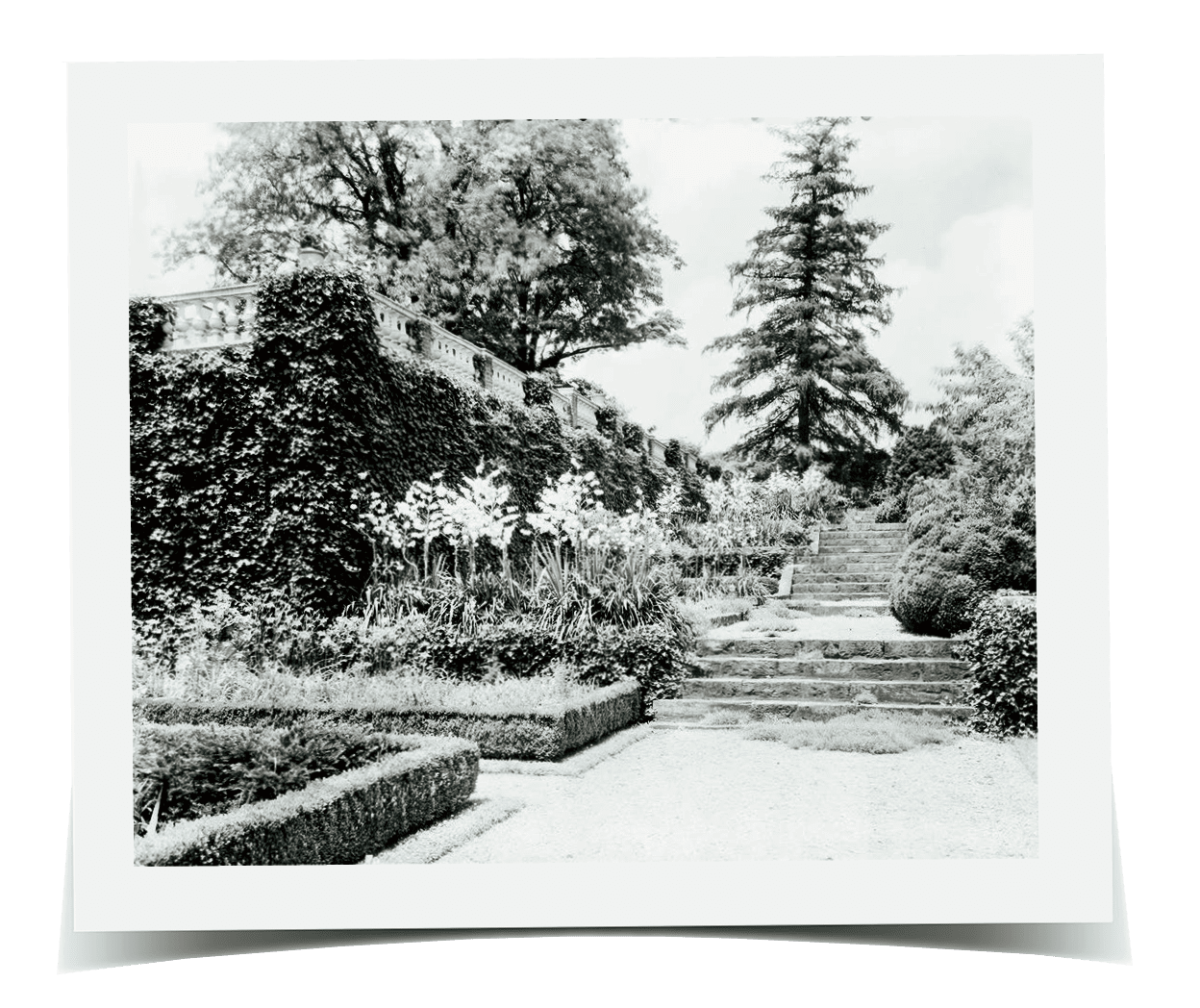 Garden Steps, c. 1930s