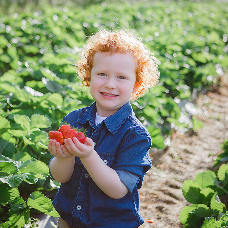 Strawberry Field Trip Child