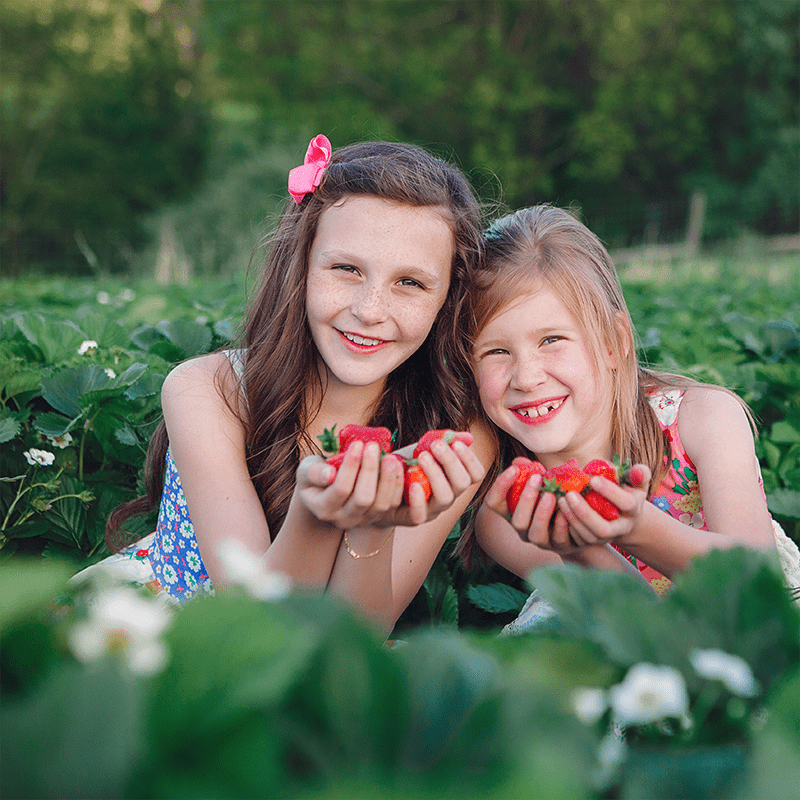 Strawberry Field Trip Children