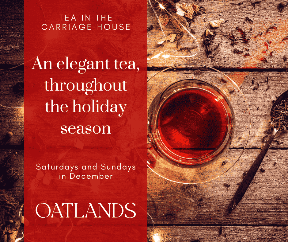 Holiday Tea Image with a tea cup on a rustic table with fairy lights and tea leaves sprinkled over it.