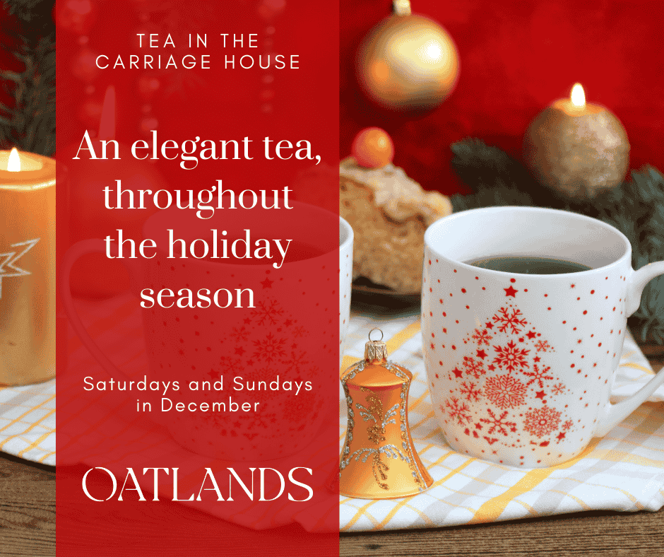 Holiday Tea Image with white ceramic tea mugs with a red christmas tree printed on them. They are sitting on a cotton check placemat and with a gold sparkly bell and baked treats next to them.