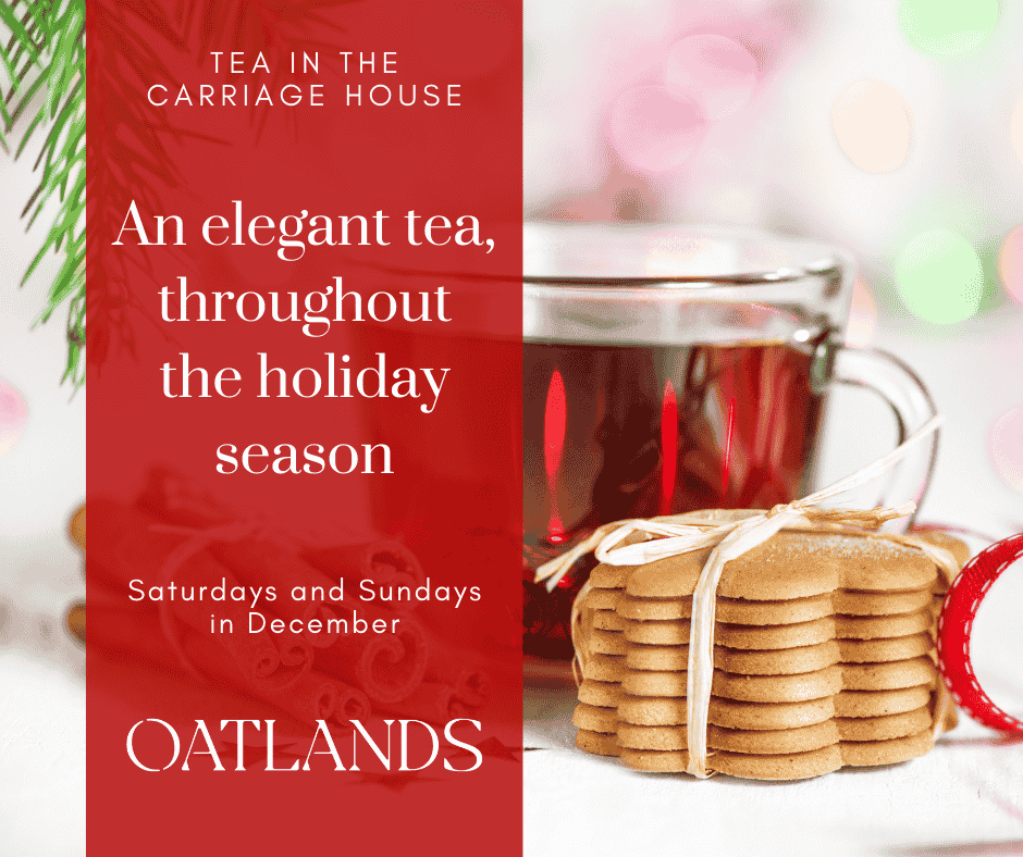 Clear tea cup on a white tablecloth with a stack of thin, scalloped sugar cookies tied with a ribbon next to the cup.