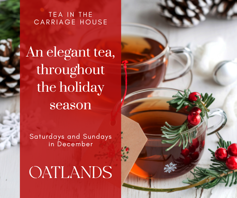 Holiday Tea Image with clear glass teacups on a white tablecloth with holly and pinecones.