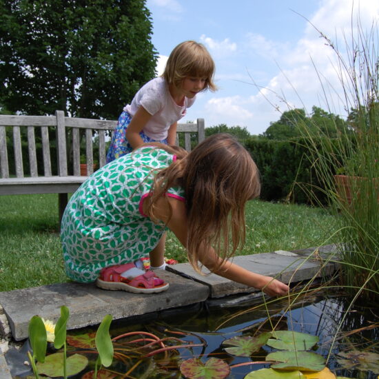 Programming & Education Donation