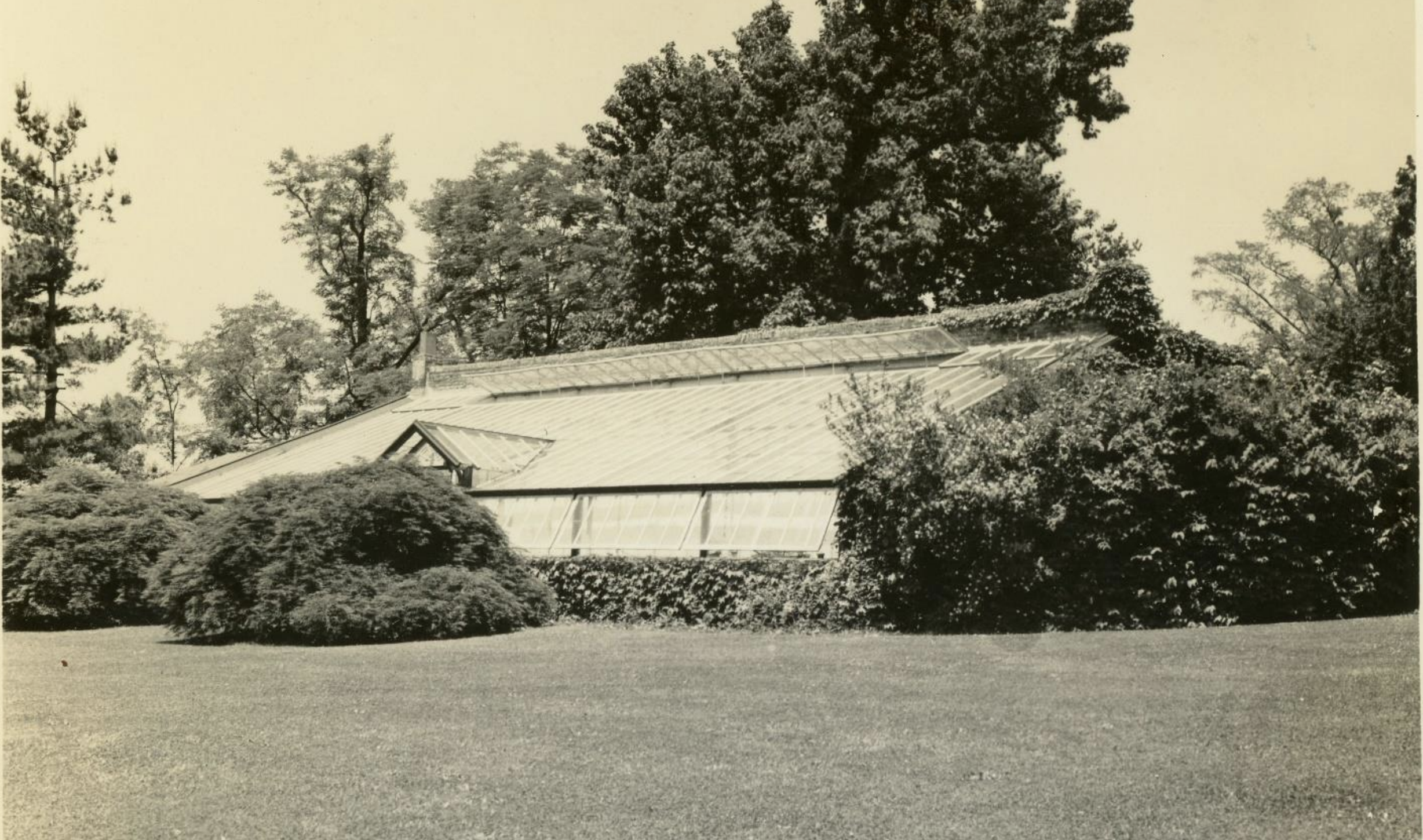 Historic black and white photo of the greenhouse at Oatlands