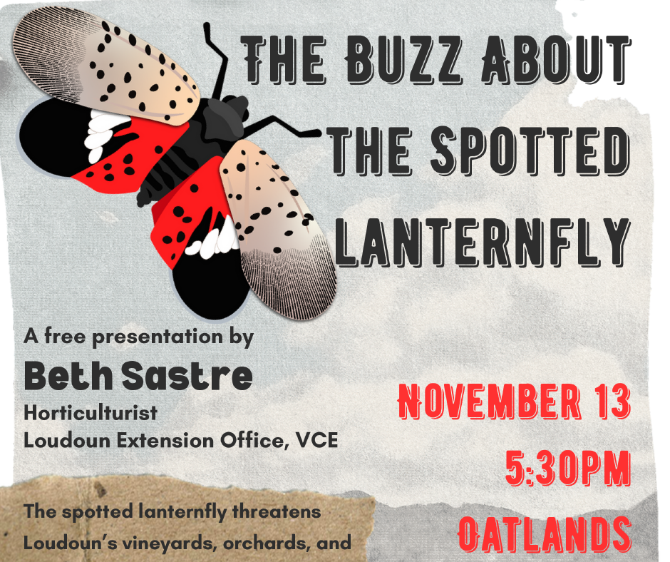 Lanternfly Lecture